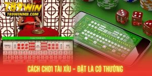 cách chơi tài xỉu